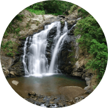 Shuangliu
