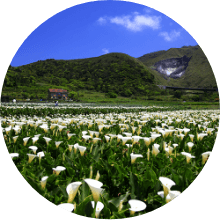 YangMingShan